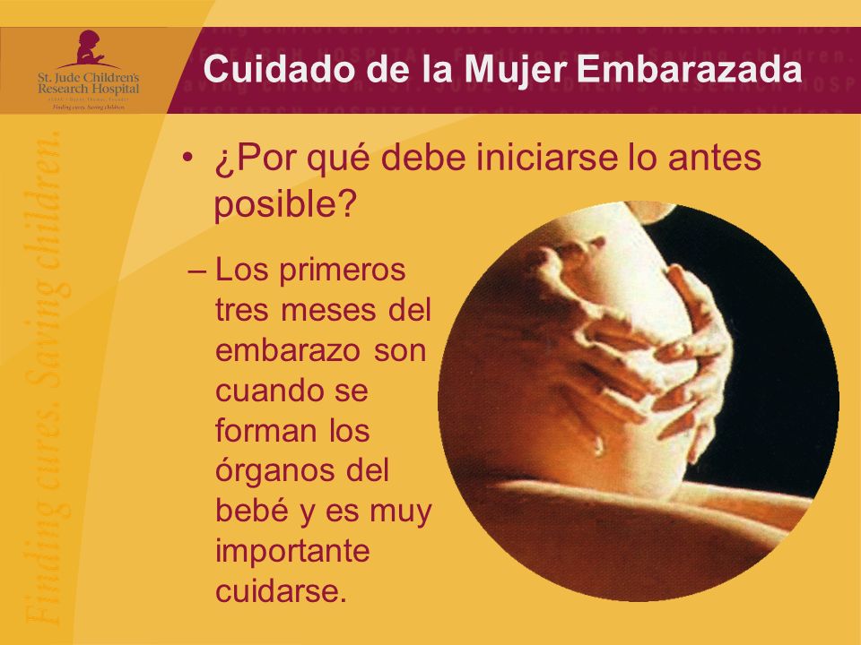 Primeros meses embarazada de mujer una los cuidados